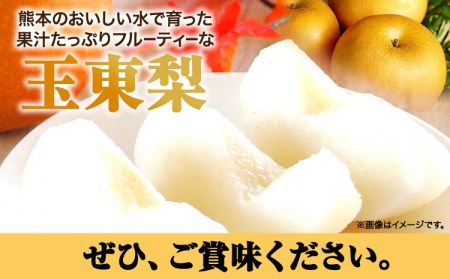 【日付指定不可】『本田農園』旬の梨　約5kg 5~16玉 本田農園《8月下旬-10月上旬頃出荷》 熊本県玉名郡玉東町 ｜ブランド梨 人気梨 特産品梨 熊本県梨 玉東町梨 大人気返礼品