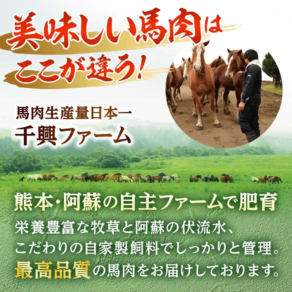 霜降り馬刺し 約320g 馬刺しのたれ付き[AYAF013]