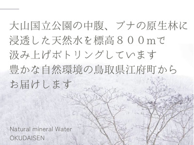 天然水奥大山 2リットル 1箱(6本入り) ミネラルウォーター 軟水 ペットボトル 2L みず PET 4000円 0532