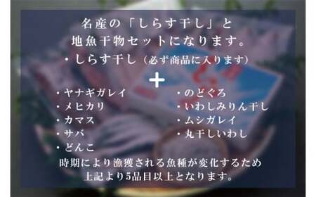 AJ001　しらす干し＆地魚干物おまかせ詰め合わせセット