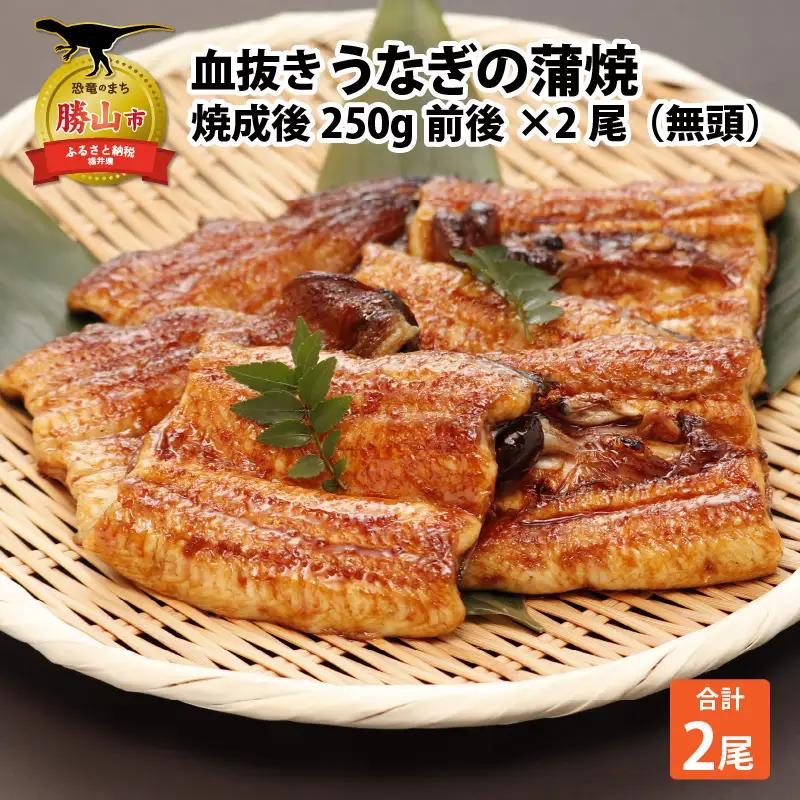 うなぎ 蒲焼 血抜き 国産 約250g×2尾 うなぎ
