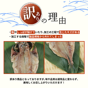 訳あり 高級 あじ 干物 約2kg 沼津 晩酌 おつまみ おかず 朝食 鯵 干物 ひもの 規格外 干物 ひもの 不揃い 干物 ひもの 干物 ひもの 干物 ひもの 干物 ひもの 干物 ひもの 干物 ひも