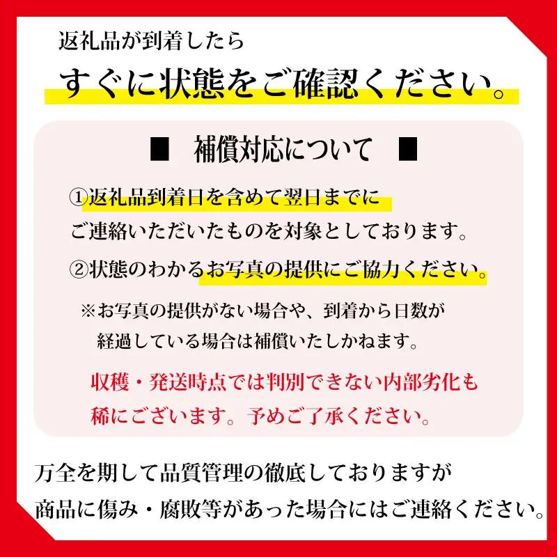 【期間限定発送】青島みかん 約 5kg みかん オレンジ