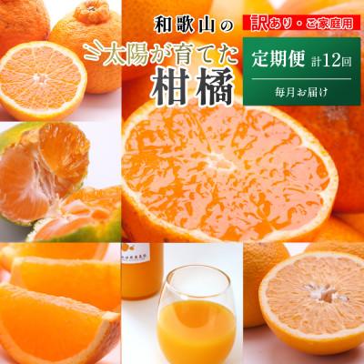 ふるさと納税 広川町 【発送月固定定期便】家庭用 柑橘定期便S(毎月)全12回