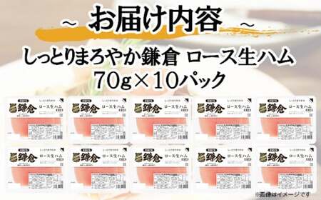 鎌倉ハム 富岡商会 『ロース生ハム』 【 ふるさと納税 人気 おすすめ ランキング 70g おまとめ 10パック セット ハム 生ハム ニッポンハム 日本ハム 小分け 10セット 10個 ロース ロー