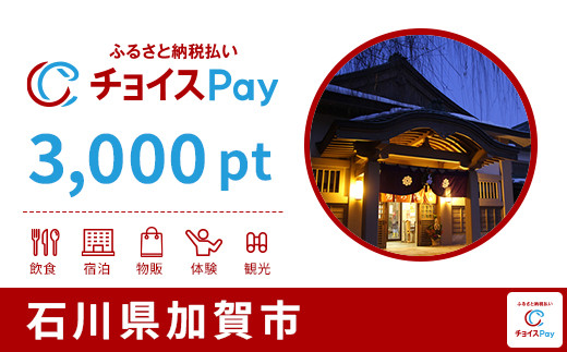 
            加賀市チョイスPay 3,000pt【会員限定のお礼の品】
          