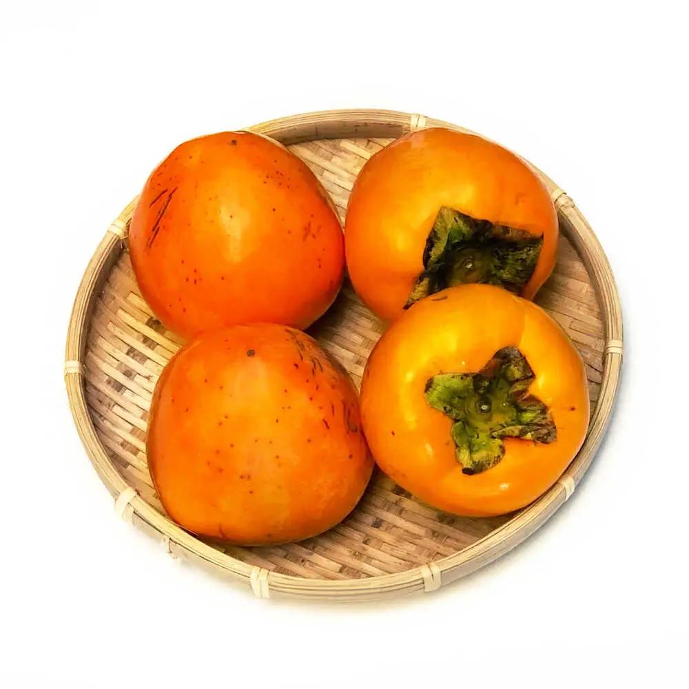 富士柿 4kg  柿 かき 種なし[AGAR015]