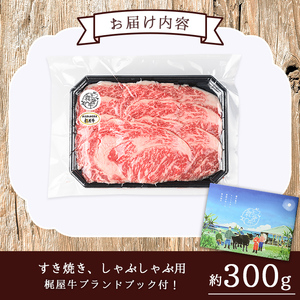 n290 梶屋牛 リブロース(計約400g・約200g×2P) 黒毛和牛 国産 九州産 鹿児島県産 牛肉 肉 すき焼き肉 すきやき すき焼肉 しゃぶしゃぶ しゃぶしゃぶ肉 ビーフ 天然飼料 サステナブ