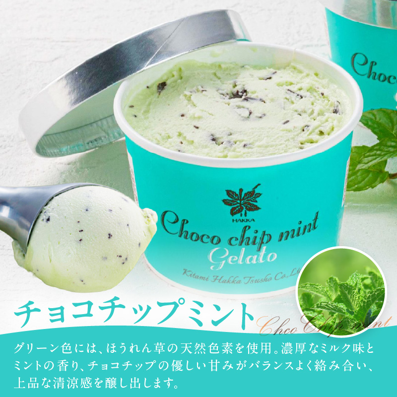 ミントジェラート カップ 3種×2個 ( ジェラート アイス アイスクリーム ハッカ チョコ ミント ミントアイス スイーツ チョコチップミント カカオ カップアイス )【007-0010】