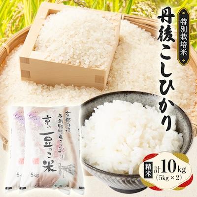 ふるさと納税 与謝野町 【令和7年産米】京都府与謝野町産 丹後コシヒカリ 精米10kg　特別栽培米 京の豆っこ米