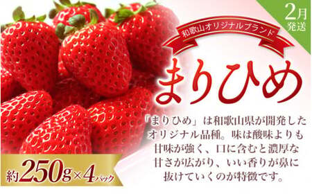 定期便【全3回/2～3・7・9月】＼フルーツ大国和歌山からお届け／ 旬のフルーツ 定期便（いちご・桃・ピオーネ）/ 定期便 フルーツ定期便 くだもの定期便 果物定期便 和歌山 果物 フルーツ【tkb4