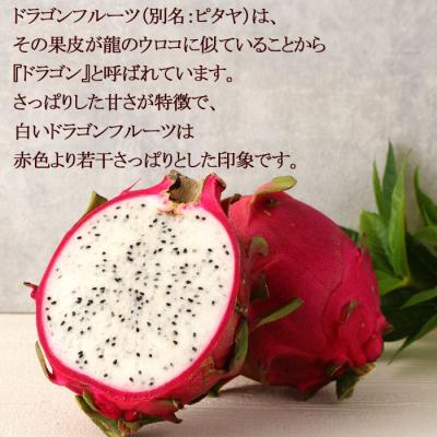 ふるさと納税 天城町 【2026年発送分】ご家庭用 徳之島 天城町産ドラゴンフルーツ 白色 約2kg |  | 01