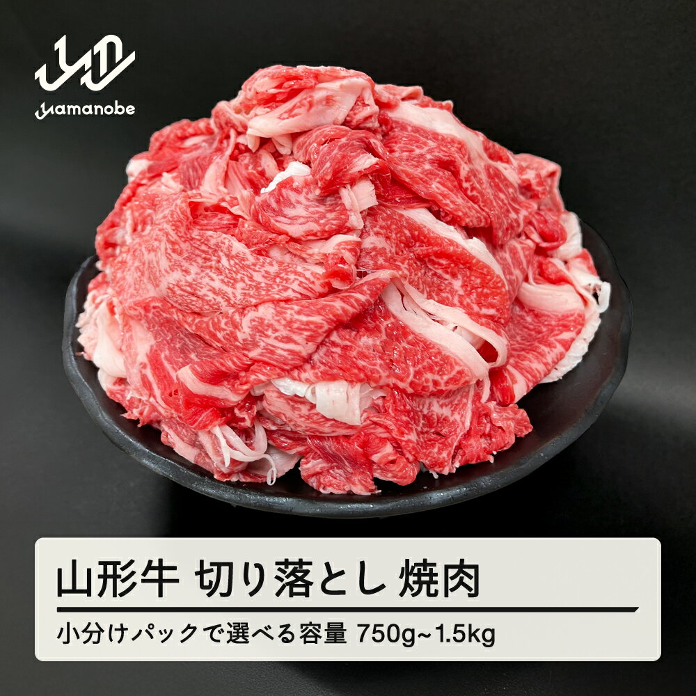 【ふるさと納税】山形牛 切り落とし 部位お任せ 形不揃い 牛肉 高橋畜産 送料無料 ※沖縄・離島への配送不可 tc-gnxox