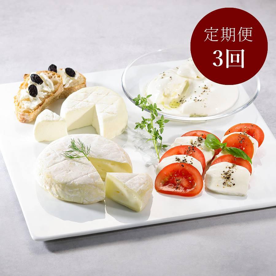 ＜Lactoserum＞「フレッシュ＆熟成チーズ」4種（モッツアレラ・ブッラータ・つやこフロマージュ・ツツー）計480g【3ヵ月定期便】