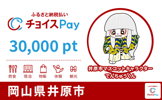 
            井原市チョイスPay 30,000pt【会員限定のお礼の品】
          