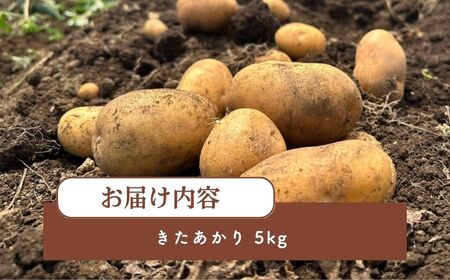 ＜先行予約＞じゃがいも きたあかり 5kg | じゃがいも じゃがいも じゃがいも じゃがいも じゃがいも