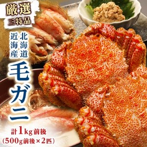 【厳選三特品】北海道近海産毛ガニ 2尾　1kg【配送不可地域：離島】【1125180】