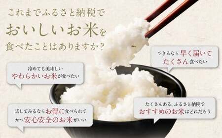 【6回定期便】 筑後の実り 5kg×6回 定期便  米 白米 ブレンド ご飯 国産 贈り物 定期便 福岡県 筑後市