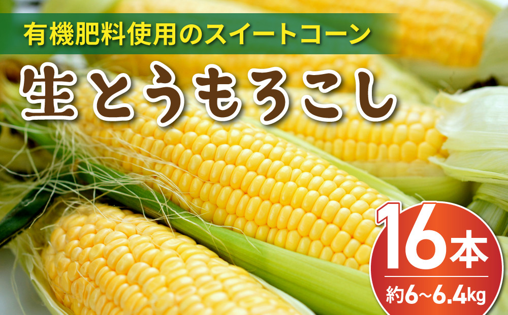 
低農薬・有機肥料使用のスイートコーン！ 生とうもろこし 2L 16本 長野県東御市産 ※7月上旬から順次発送予定
