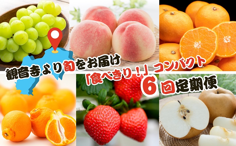 フルーツ 定期便 全6回 香川県産 讃岐 食べきり ご家庭用 旬果 さぬきひめ苺 いちご しらぬひ 桃 幸水梨 豊水梨 シャインマスカット ぶどう 温州みかん みかん 柑橘 約500g 約2kg 約1.8kg 約550g 約3kg 少量ずつ 果物 くだもの 香川県 観音寺市