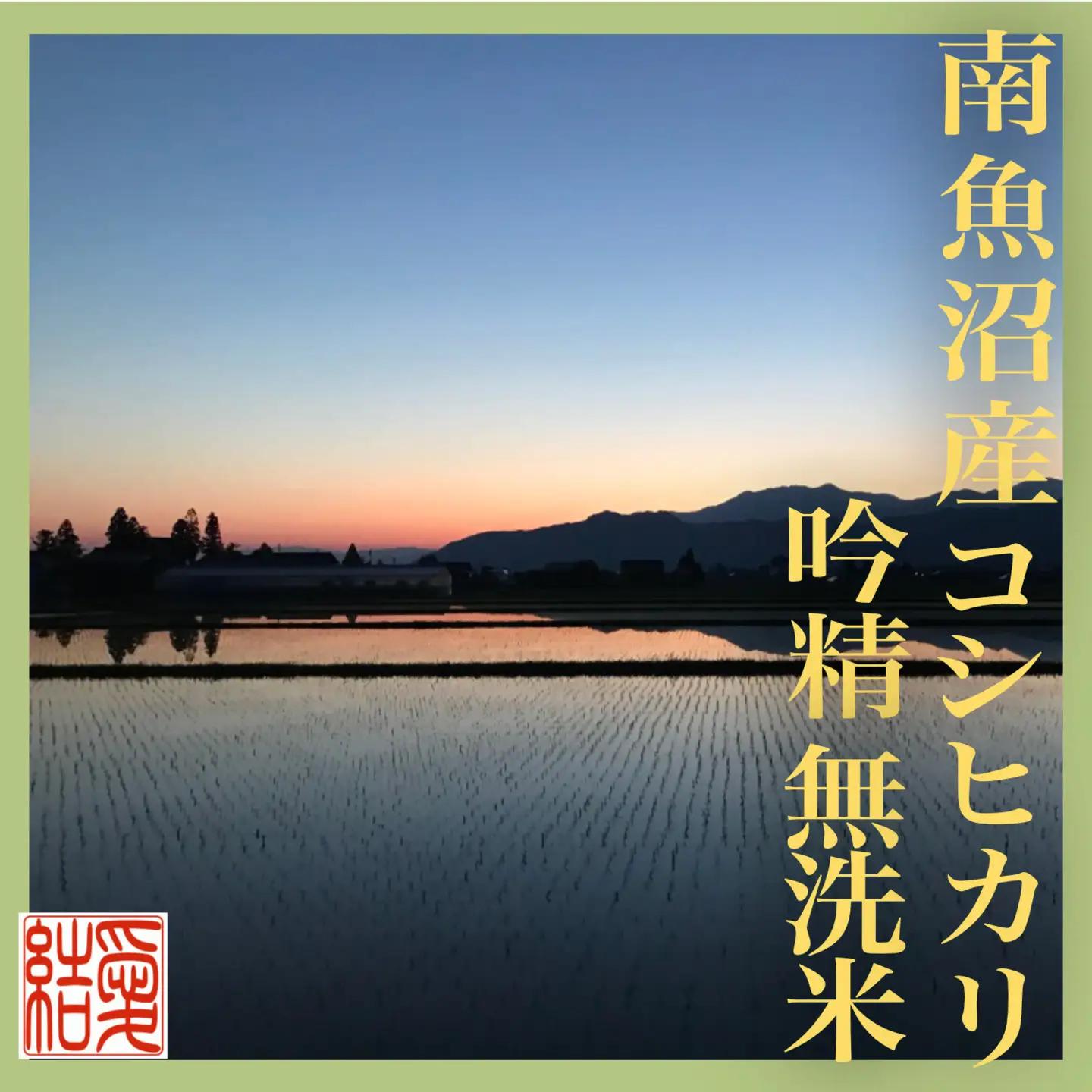 【令和7年】【定期便8Kg×全6回【無洗米】 南魚沼産コシヒカリ｜無洗米