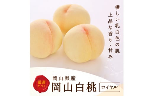 岡山県産　白桃 6玉(1.5kg以上) 等級:ロイヤル 化粧箱入り【1501092】