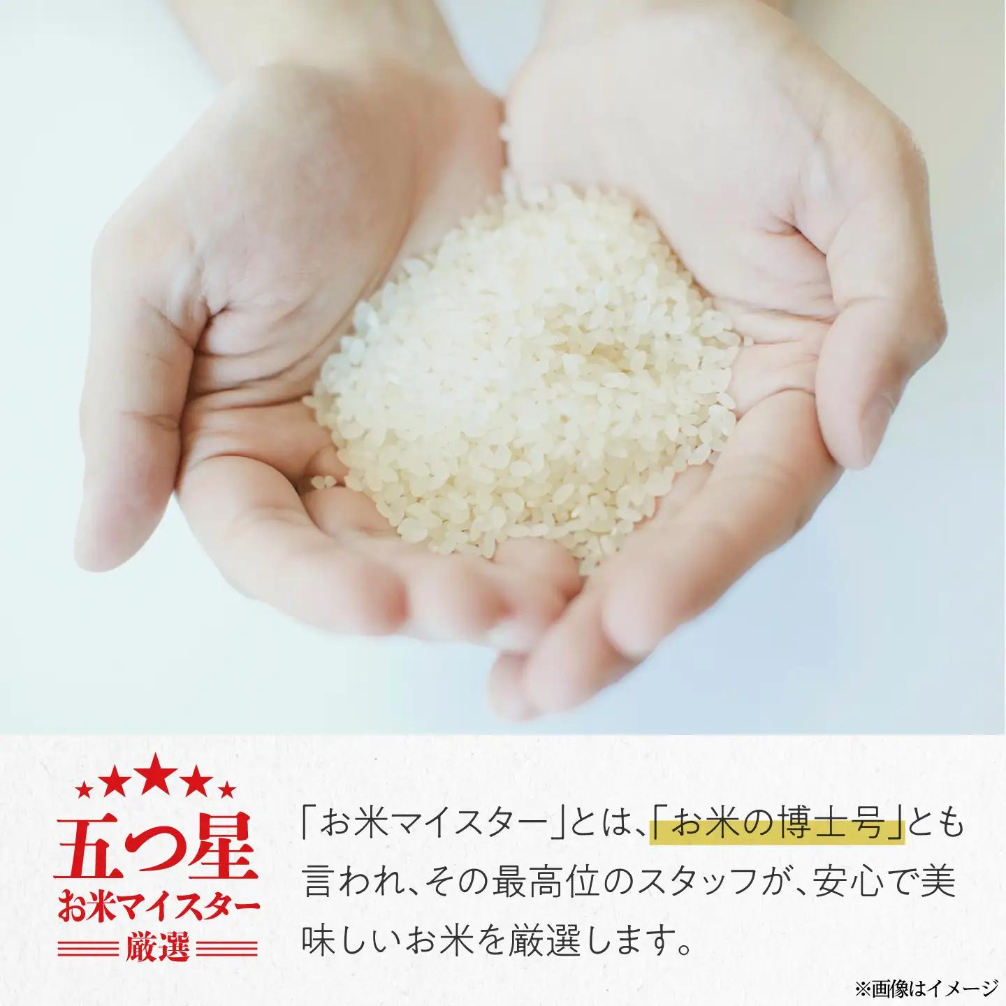 【全2回定期便】 広島県三次産こしひかり 10kg [APDK006] こしひかり