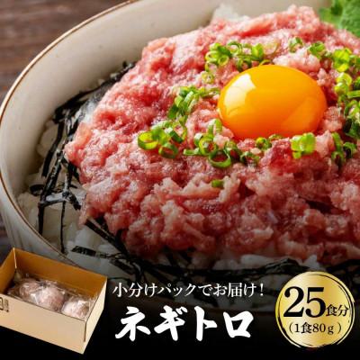 ふるさと納税 高知市 ネギトロ 約80g×25パック【BX048】