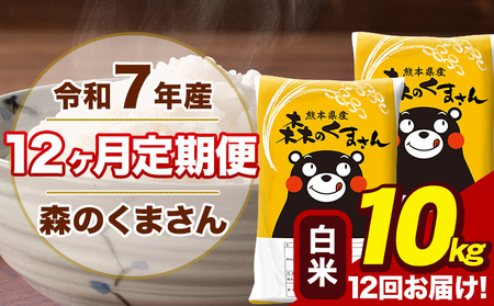令和7年産 【12ヶ月定期便】森のくまさん 白米 10kg 5kg×2袋 計12回お届け《お申込み翌月から出荷》 お米 こめ 熊本県産 ご飯 備蓄