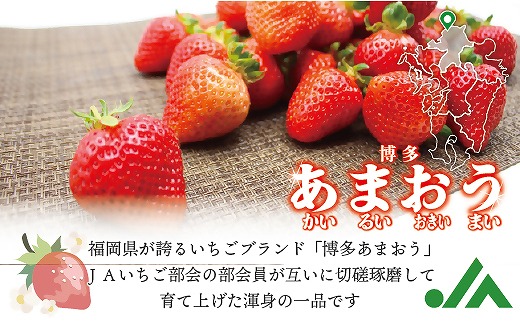 【2027年3月より順次発送】食べきりサイズ！博多あまおう8パック　約1440g（2L～Lサイズ）[H2319]