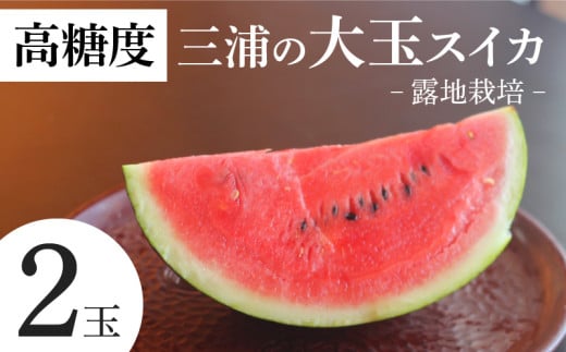 【高糖度】三浦の大玉スイカ2玉【露地栽培】　M072-001-02