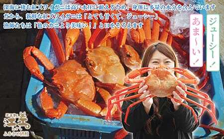 ＼配送時期指定可／『北海道北前蟹』脚むき身（ポーション）500g　　北海道日本海産紅ずわいがに　カニかご漁師直販！厳格な鮮度管理で甘くてジューシーな本場の味をお届け　むき身なのではずれなし！　新鮮生冷