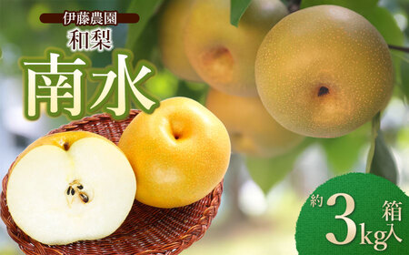 【令和8年産先行予約】 南水(和梨)  約3kg 箱入り (7～9個入り) 山形県鶴岡市　伊藤農園