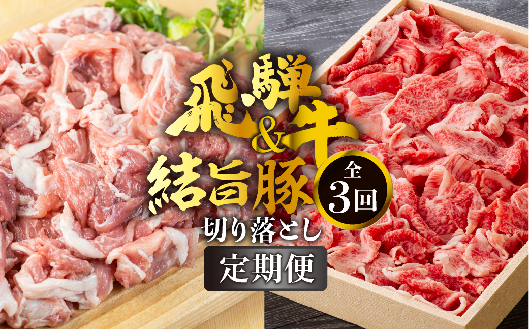 
《定期便》全3回 飛騨牛 切り落とし 500g 結旨豚 切り落とし 1.5kg セット 訳あり 等級 部位お任せ 牛 豚 食べ比べ 真空パック 小分け スライス 和牛 牛肉 豚肉 国産 ブランド和牛ブランド豚 飛騨 白川村 白川郷 わけあり 75000円 [S721]
