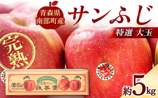 特選 (大玉) 青森産 完熟 りんご サンふじ 約5kg 【誠果園】 青森りんご リンゴ 林檎 アップル あおもり 青森 青森県 南部町 三戸 南部 澁川賞受賞 果物 くだもの フルーツ F21U-386