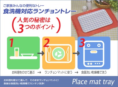 タツクラフト STトレー L 39cm レスト　2枚組