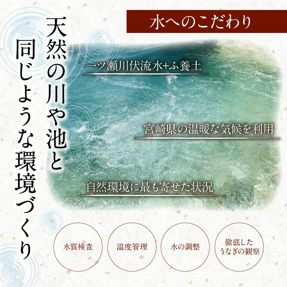 新仔!!味鰻うなぎ蒲焼3尾（無頭）・鰻丼の素6袋セット（きざみ）本格手焼備長炭蒲焼 化粧箱入【E164-2311-60】_イメージ3