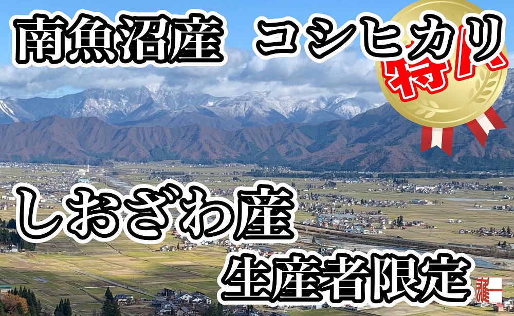 【令和7年産】【定期便： 5Kg×9ヶ月】生産者限定 契約栽培 南魚沼しおざわ産コシヒカリ【2025年10月上旬より順次発送予定】