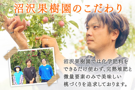 《先行予約！8月上旬より順次発送》夏の太陽をたくさん浴びた桃 あかつき 約3kg（9～13玉前後）