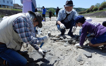 瑞浪市化石博物館 見学と化石採集プライベートツアー（半日）＆ グッズセット 瑞浪市[AZCJ005]