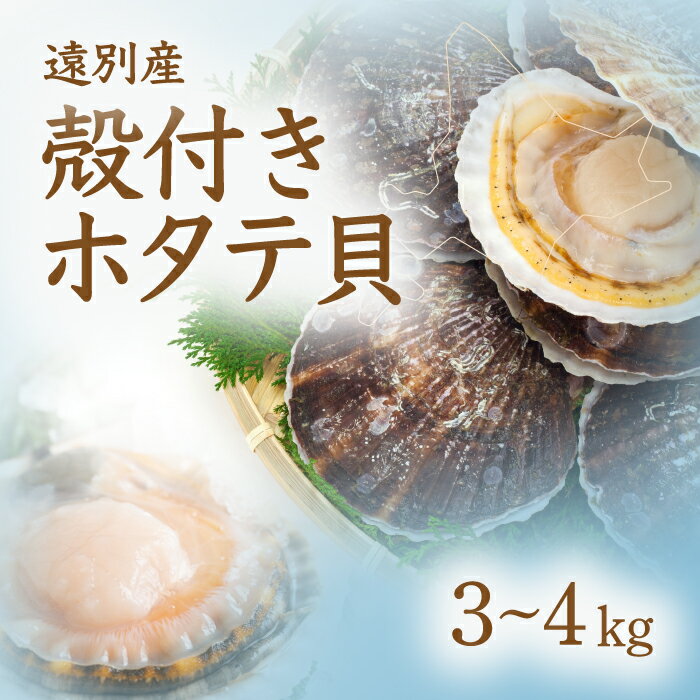 【ふるさと納税】R8年5月下旬より順次発送　遠別産殻付きホタテ貝（約3～4kg）【事前予約】 ホタテ ほたて 帆立 貝 魚介 魚介類 海鮮 海の幸 北海道 遠別町