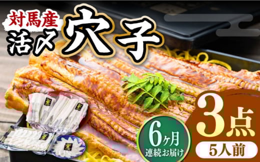 【全6回定期便】対馬産 活〆 穴子 ３点 セット D【THE・対馬株式会社】《対馬市》新鮮 あなご 刺身 天ぷら 海鮮 肉厚 簡単調理 5人前 [WAS016]