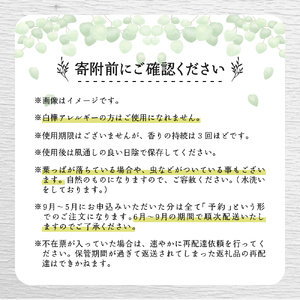 【先行受付】北海道芽室町産「白樺ヴィヒタ」2束　me055-002-2c