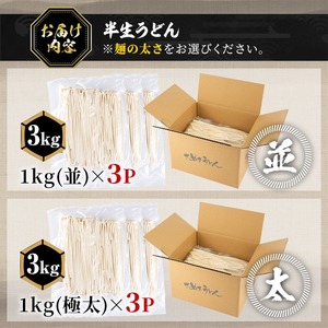 ＜訳あり＞ 半生うどん (並・3kg) 本場 讃岐 香川県 麺 コシ 常温 【man162-C】【こんぴらや販売】
