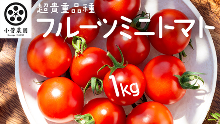 フルーツミニトマト 約1kg 【2026年1月10日発送開始】 フルーツミニトマト ミニトマト とまと リコピン フルーツトマト 野菜