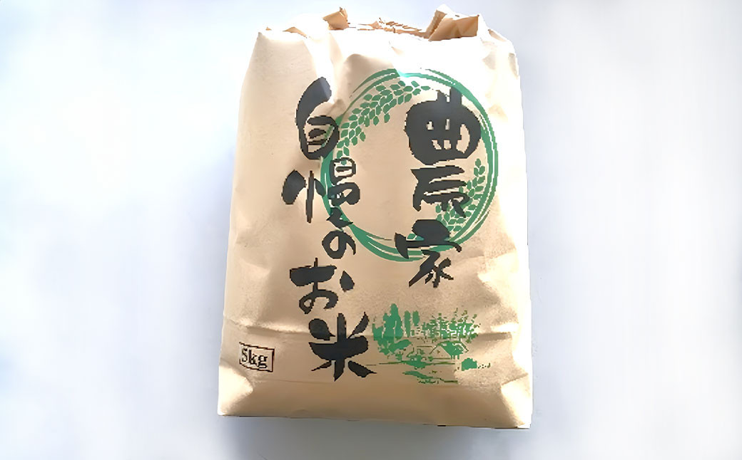 
【令和6年産】 菊川市産 静岡コシヒカリ 玄米 5kg 【2024年9月上旬-2025年6月下旬発送予定】 お米 米 静岡 コシヒカリ ブランド米 先行予約 新米
