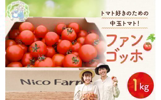 【先行予約：2026年7月下旬頃より発送】NicoFarm ファンゴッホ（中玉トマト）1Kg