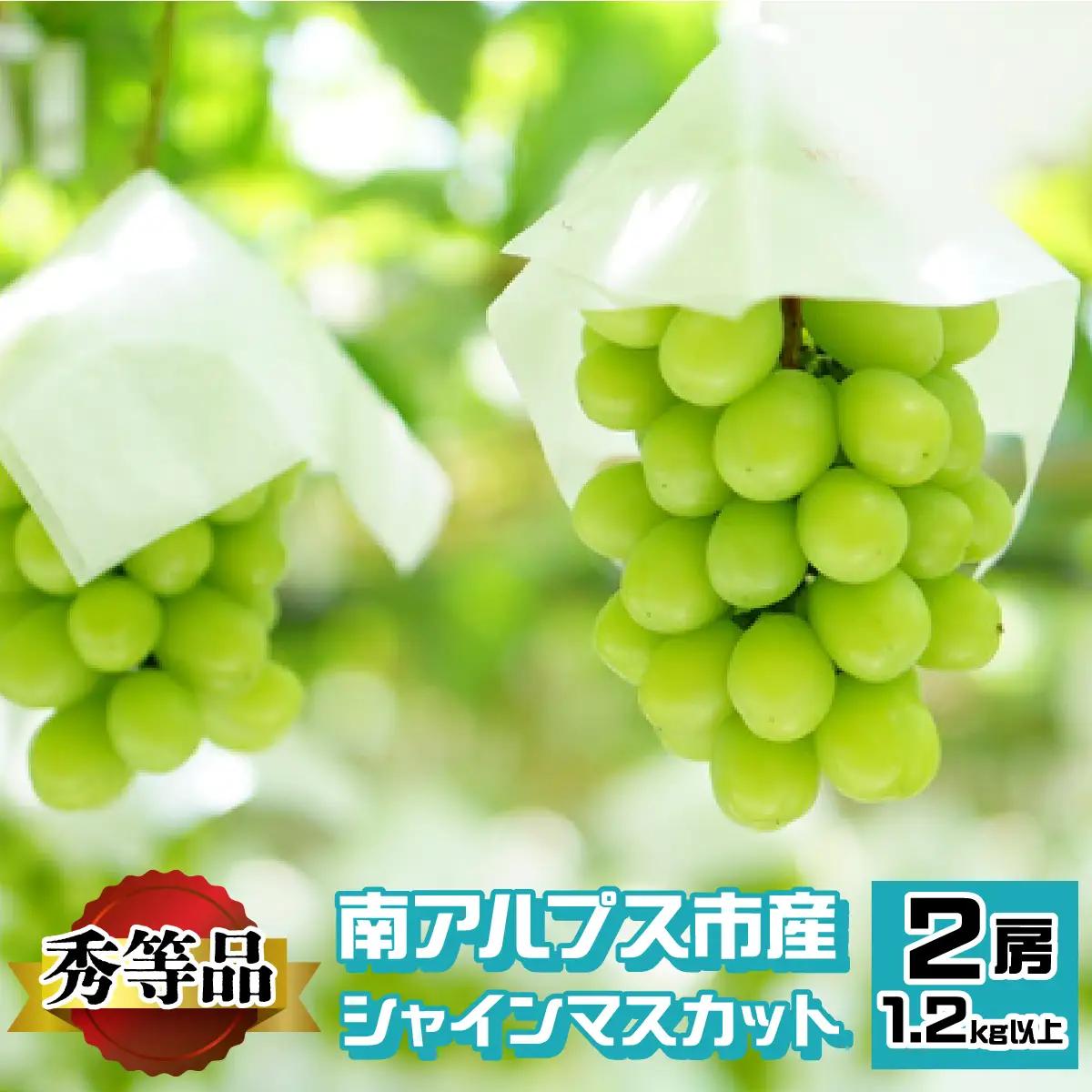 ＜2026年発送先行予約＞南アルプス市産 シャインマスカット 秀等品 1.2kg以上　（2房） ALPEV002　山梨県 ぶどう 葡萄 ブドウ マスカット 種なし フルーツ くだもの 果物 高級 新鮮 産地直送 贈答 ギフト 家庭用 2026年 秀等品 南アルプス市