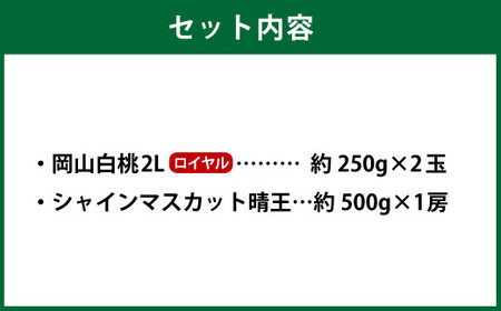 岡山県産 岡山白桃 ロイヤル 2Lサイズ 約250g×2玉・シャインマスカット 晴王 約500g×1房 詰合せ 【2026年7月上旬～8月下旬発送予定】 白桃 桃 もも モモ マスカット ぶどう 葡萄