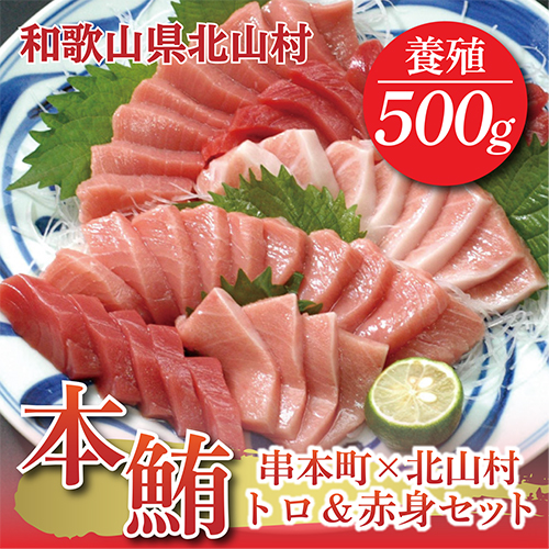 【串本町×北山村】本マグロ（養殖）トロ＆赤身セット500ｇ【nks110】